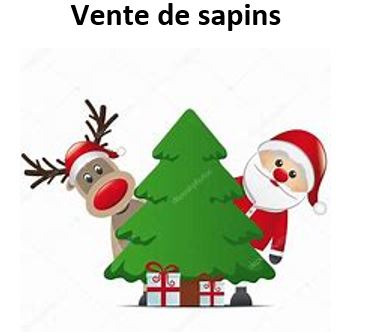 vente de Sapin