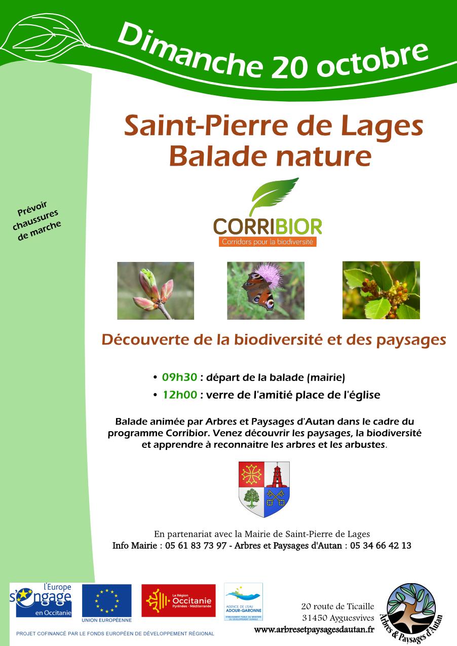 Balade_nature_20_10_19