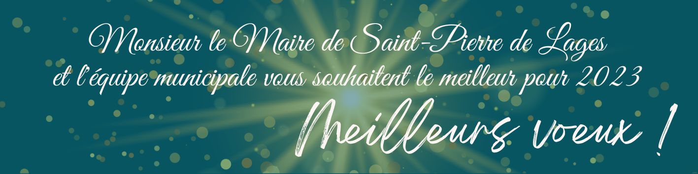 Meilleurs voeux (1)